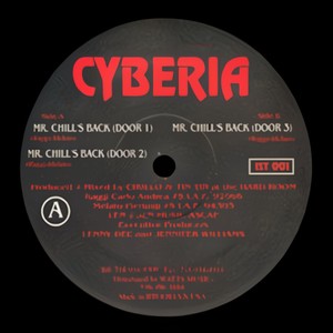 Mr. Chill Back Door 1
