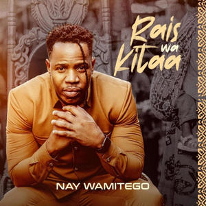 Nyumbani kwetu (feat. Nay wa Mitego)