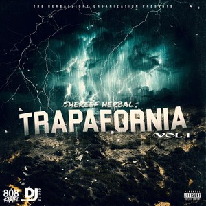Trapifornia (feat. DJ Flip & 808 Kartel) (Explicit)