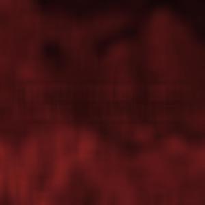 FUVK THAT **** (Explicit)