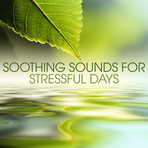 Soothing Sounds for Stressful Days