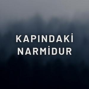 Kapindaki Narmidur