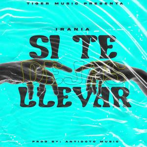 Si Te Dejas Llevar (Explicit)