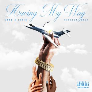 Having My Way (feat. Capella Grey) [Radio Edit] [Explicit]