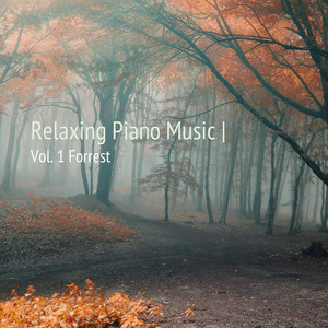 Relaxing Piano Music, Vol.1 Forrest