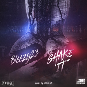 Shake It (Explicit)