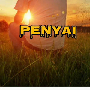 Penyai