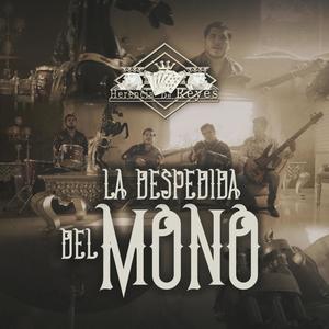La Despedida Del Mono