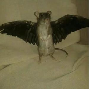 Enjoy The View (Explicit)