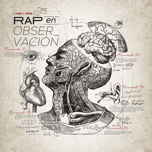 Movimiento I metáforas de un problema. La punta del iceberg