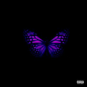 Innovator (Explicit)