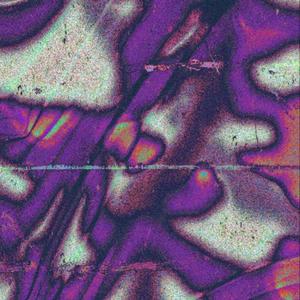 Dont Lie (feat. Kolaterol, Jenzo! & Luv Tention) (Explicit)