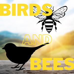 Birds & Bees (Original Mix)