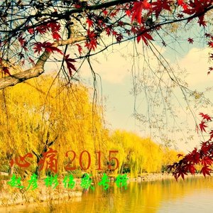 心痛2015