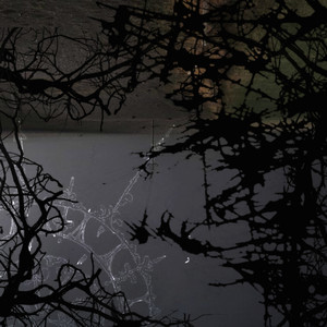 Possesive (Explicit)