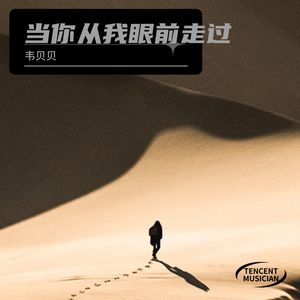 当你从我眼前慢慢走过