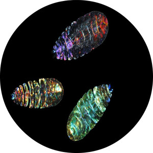 Hope 1 (Original Mix)