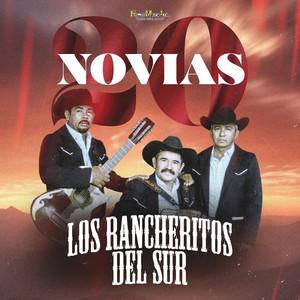 Mis 20 Novias