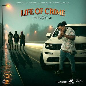 Life of Crime (Explicit)