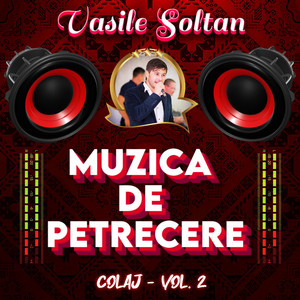 Muzică de Petrecere, Vol. 2 (Colaj)