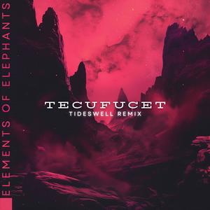 Tecufucet (Tideswell Remix)