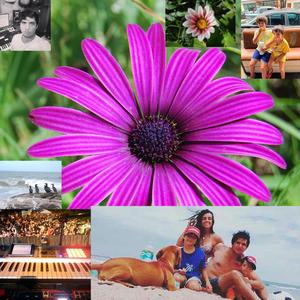 Indesicioon Sobre Algunos Temas