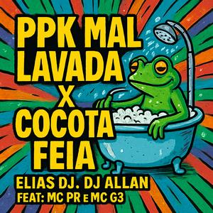 PPK MAL LAVADA X COCOTA FEIA (feat. DJ Allan & MC G3|Explicit)