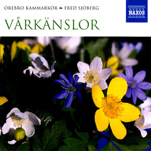 VARKANSLOR