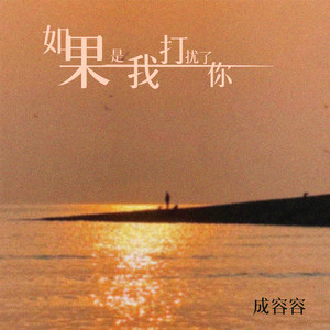 如果是我打扰了你 (DJ版)