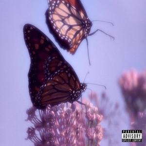 Stranger (Explicit)