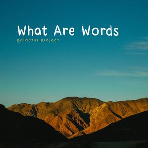 What Are Words Slow Remix - Inst