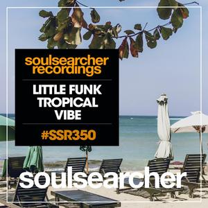 Tropical Vibe (Original Mix)