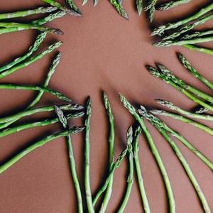 Recline Mellow Sleep Noise