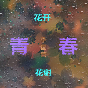 青春花开花谢