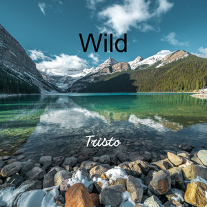 Wild (Explicit)