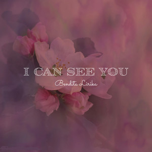 I Can See You