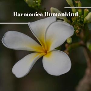 Harmonica Humankind