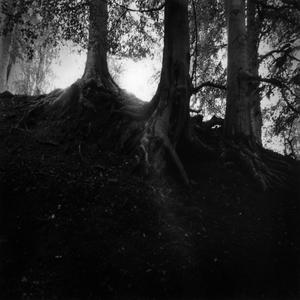 lookin clean (Explicit)