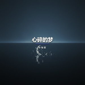 心碎的梦-徐知夏