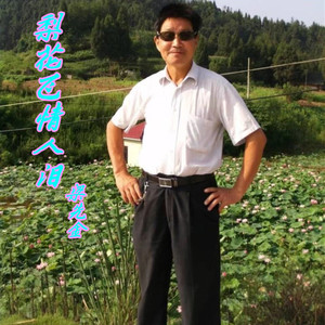 梨花飞情人泪