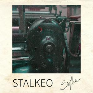 Stalkeo