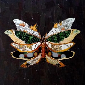 Furiosa Aberta(feat. Roseane Santos & Francisco Mallmann)