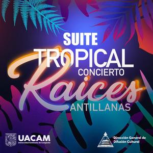 SUITE TROPICAL