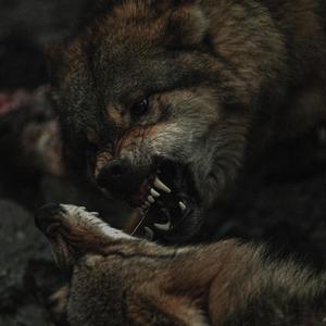 Tempest (feat. Hit List)