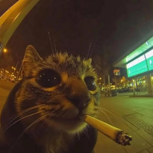 What's Plots? (Explicit)