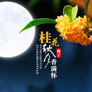 秋月桂花香满怀