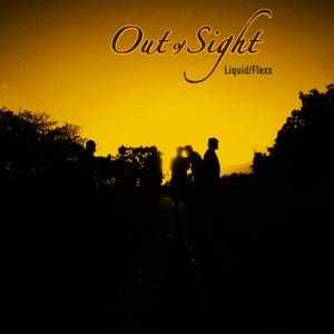 Out of Sight(like this)[feat. Flexx]