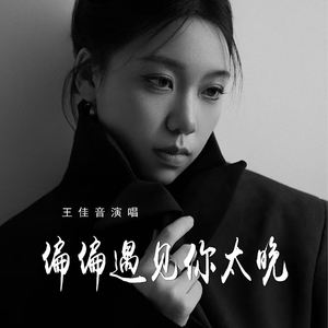 偏偏遇见你太晚