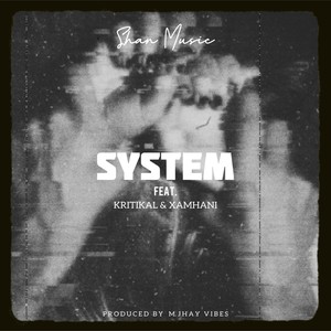 System