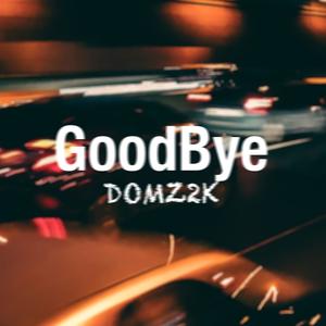 Goodbye